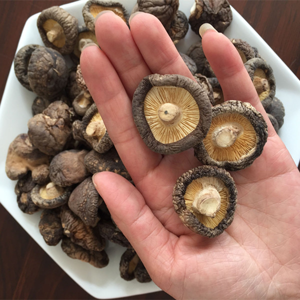 新貨農家自產(chǎn)干香菇干貨小香菇500g